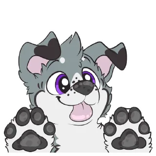 🐾