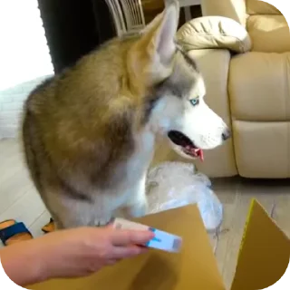 👍