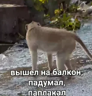 ☺️