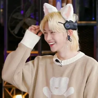 😸