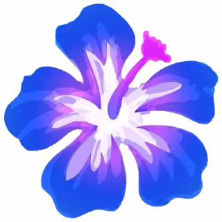 🌺
