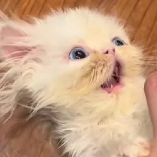 😱