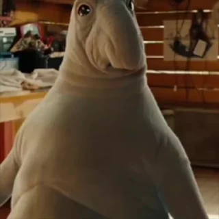 🤩