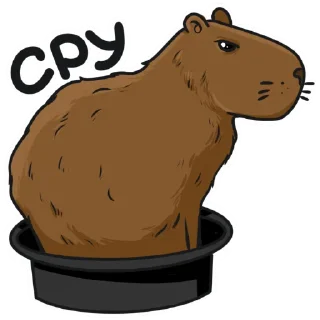 💩