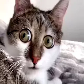 🙄