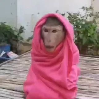 👳‍♀️