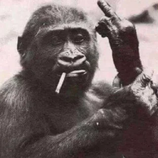 🖕
