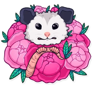 🌺