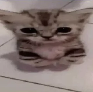 🤨