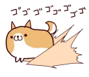🐶