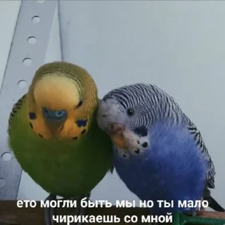 💔