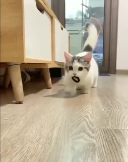 😛
