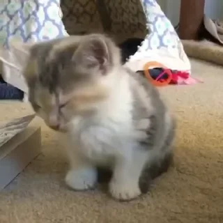 🧶
