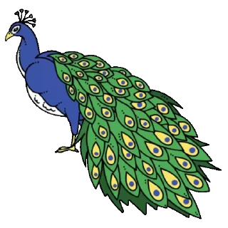 🦚