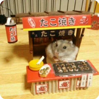 🍜