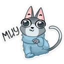 😺