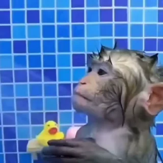 🚿