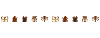 〰