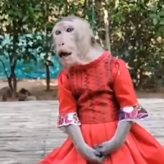 😮