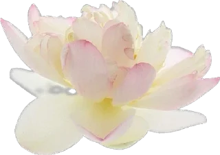 💕