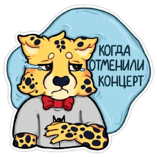 😿