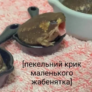 🐸
