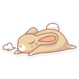 😴