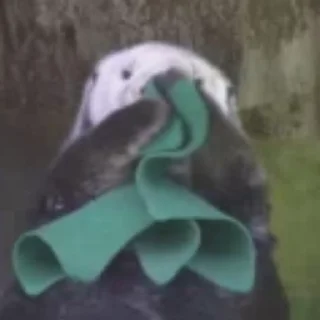 🤧