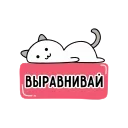 😼