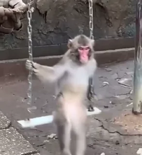 🥲