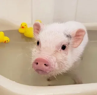🧖‍♀