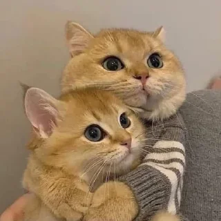 🤗
