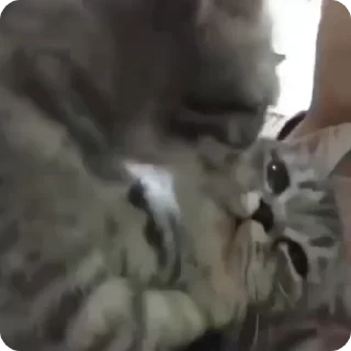 😘