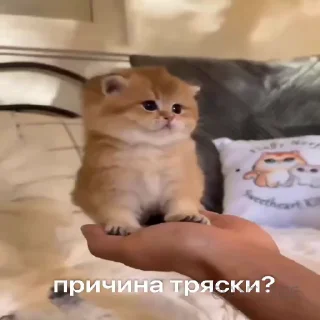 😭