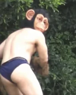 🐵