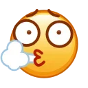 😮‍💨