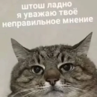 🥱