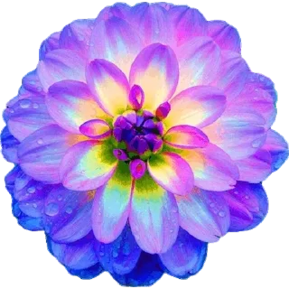 🌸