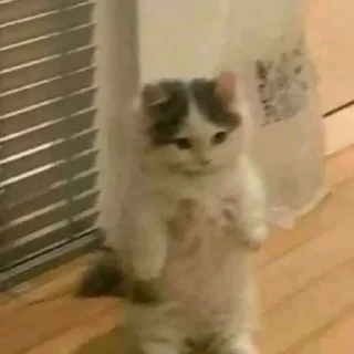 🤨