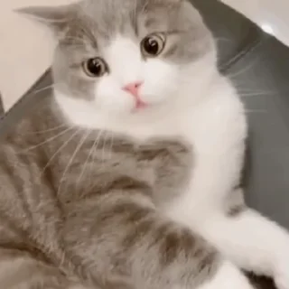 😠