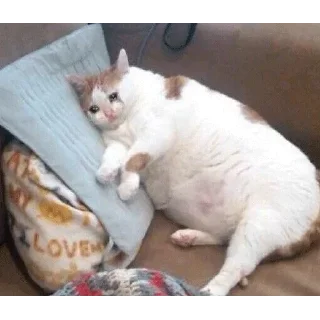 😭