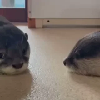😐