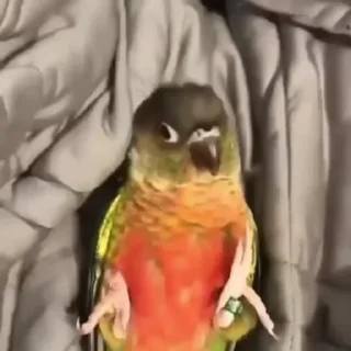 🥱