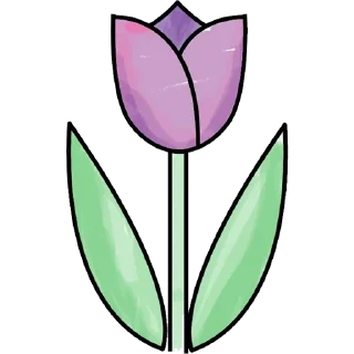 Tulips @PunjabiSticker