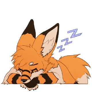 💤