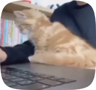 🥰