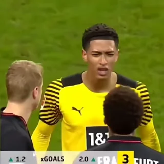 🤍