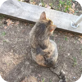 🌱