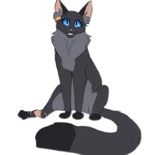 🐱
