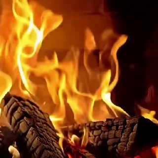 🌟